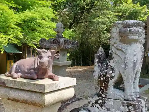 舟城神社の狛犬