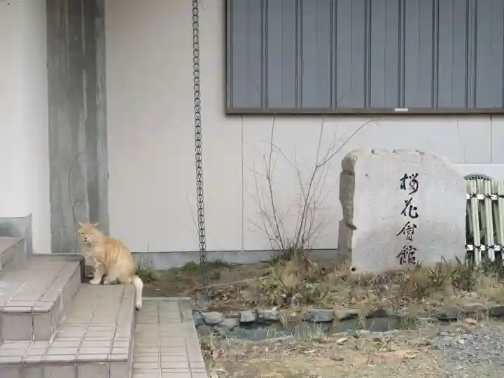 和歌山縣護國神社(和歌山県)