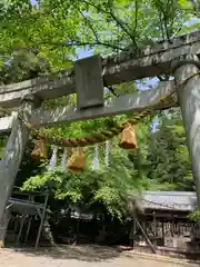 天鷹神社の鳥居