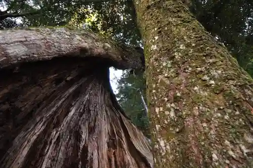 弓削神社(愛媛県)