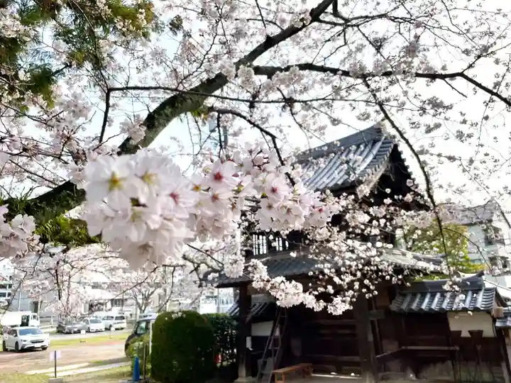 伊勢の国 四天王寺の自然