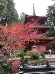 長命寺の塔