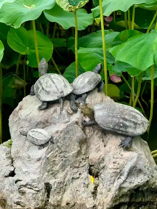 東寺(教王護国寺)(京都府)