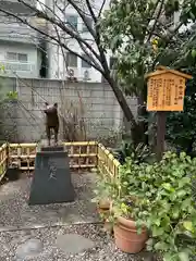 蔵前神社の狛犬