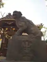 矢口氷川神社の狛犬