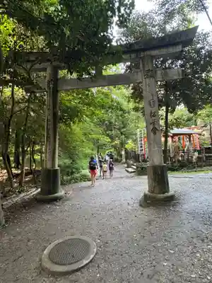 伏見稲荷大社(京都府)