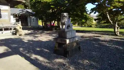 住吉神社の狛犬