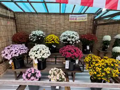 諏訪大社(長野県)