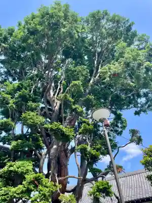 泉沢寺(神奈川県)