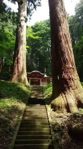 吉田八幡神社の自然