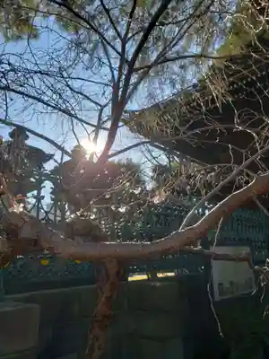 妙法寺(東京都)