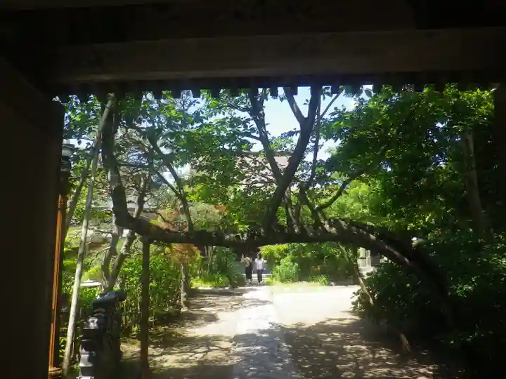 教恩寺のその他建物