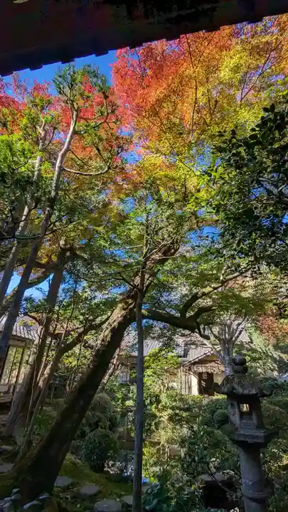 法然院(京都府)