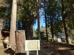 別府厳島神社(山口県)