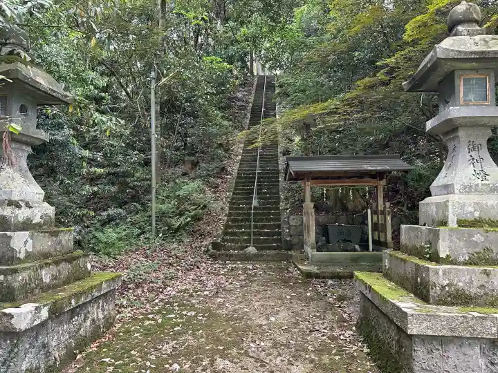 男坂神社の自然
