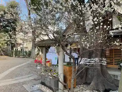 上目黒氷川神社の手水舎