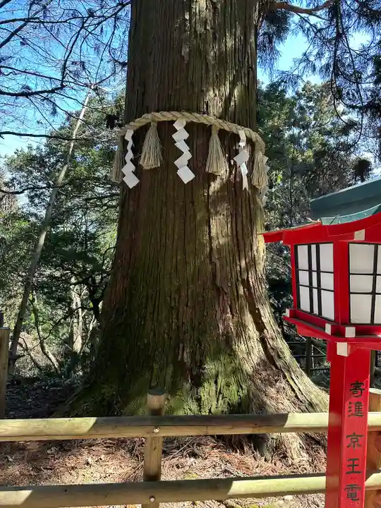 高尾山薬王院(東京都)