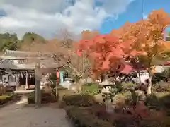 壺井八幡宮(大阪府)