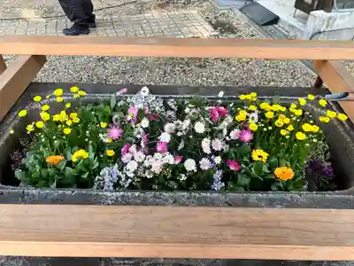 上目黒氷川神社(東京都)