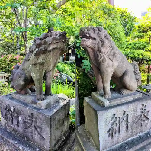 千葉神社の狛犬