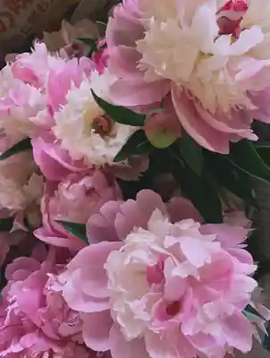 滑川神社 - 仕事と子どもの守り神(福島県)