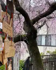 根岸八幡神社(神奈川県)