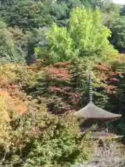 金剛院の建物その他