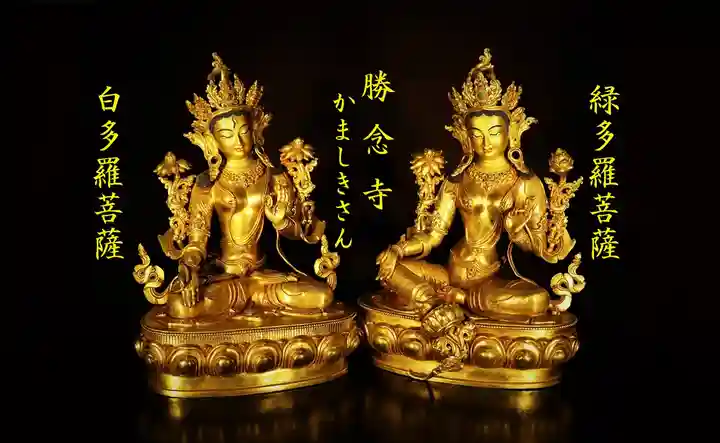 【サボ　行先板】（表）観音寺⇔高松（裏）観音寺⇔多度津 5枚セットJR四国行先方向板行先板サボ国鉄高松多度津観音寺琴平