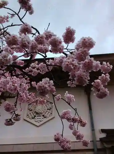 靖國神社(東京都)