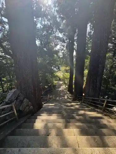 太龍寺(徳島県)