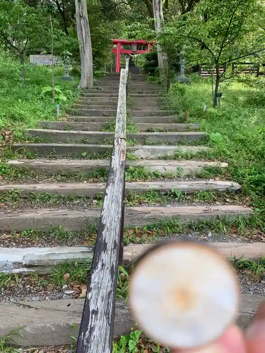 曽我浅間神社(静岡県)