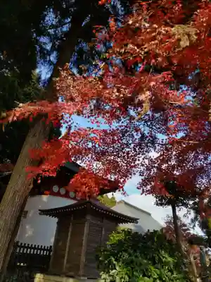 安楽寺の末社・摂社