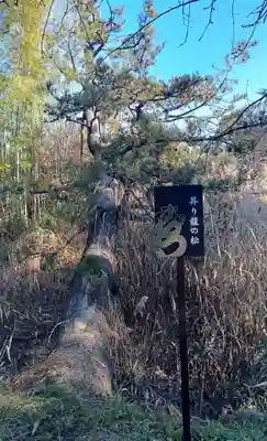 鶴嶺八幡宮(神奈川県)