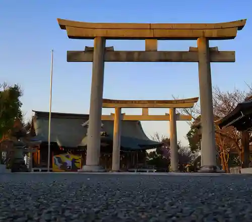 徳島県護國神社の鳥居