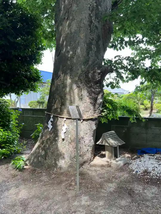 三島八幡神社(福島県)