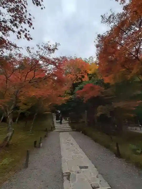 高台寺(高台寿聖禅寺・高臺寺)(京都府)