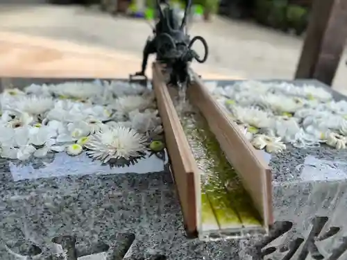 川越八幡宮(埼玉県)