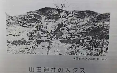 山王神社の自然