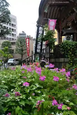 今戸神社(東京都)