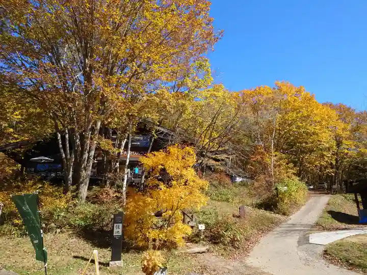 戸隠神社宝光社の自然
