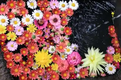 大鏑神社の手水舎
