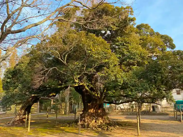 滑河山龍正院の自然