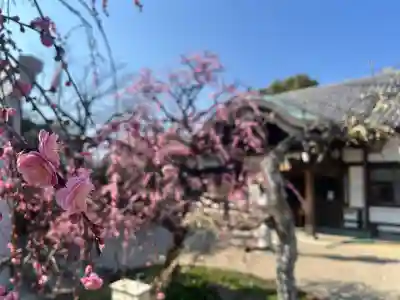 比佐豆知神社の{uncategorized: "未分類", other: "その他", undefined: "問題あり", building: "その他建物", grave: "お墓", sacred_gate: "鳥居", guardian: "狛犬", statue: "像", buddha: "仏像", history: "歴史", nature: "自然", garden: "庭園", animal: "動物", pagoda: "塔", temizu: "手水舎", mountain_gate: "山門・神門", sanctuary: "本殿・本堂", subordinate: "末社・摂社", art: "芸術", scenery: "景色", jizo: "地蔵", ema: "絵馬", goshuin: "御朱印", omikuji: "おみくじ", items: "授与品その他", amulet: "お守り", goshuincho: "御朱印帳", eats: "食事", festival: "お祭り", votive_dance: "神楽", shichigosan: "七五三参", wedding: "結婚式", experience: "体験その他", initially: "初詣", around: "周辺", anti_infection: "感染症対策"}
