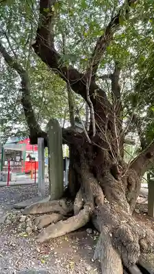 秈荷神社の自然