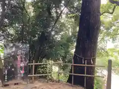 勝岡八幡神社(愛媛県)