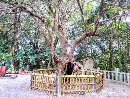 八幡神社（草木八幡社）の庭園