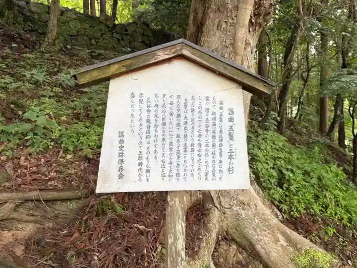 長谷寺(奈良県)