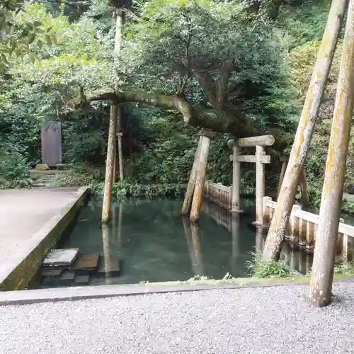 鹿島神宮の庭園