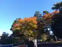 宮城縣護國神社の自然