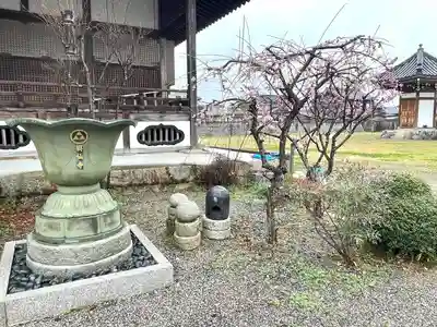 興仙寺(滋賀県)